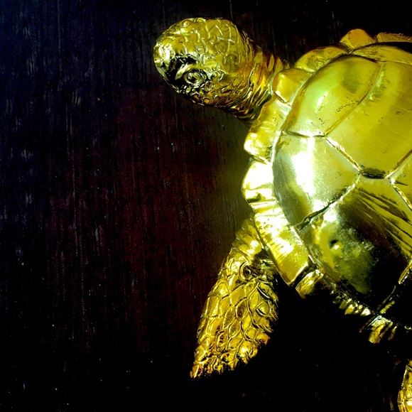 Gold colored Turtle Small Shiny - Picture 3 of 8